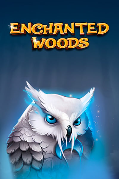 Enchanted Woods